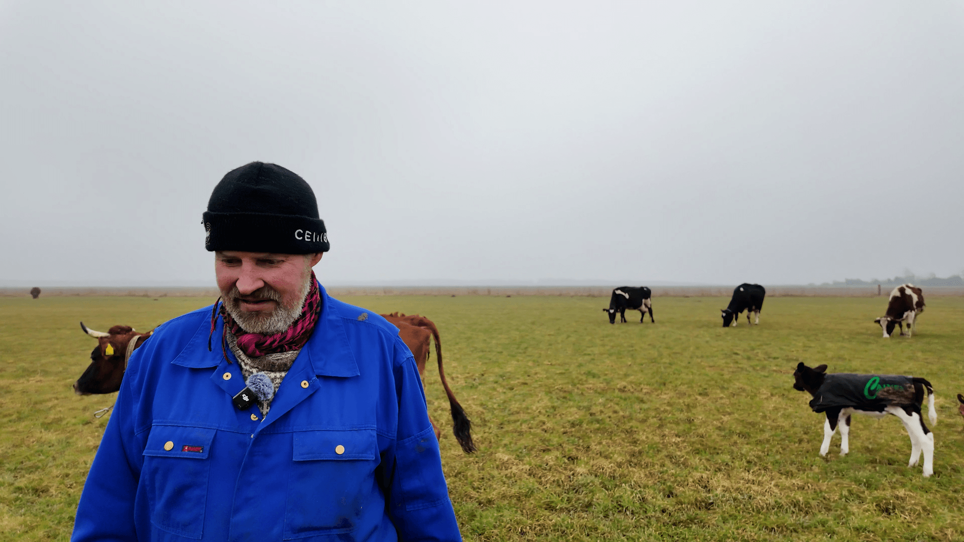 Den Glade Bondemand med køer på marken
